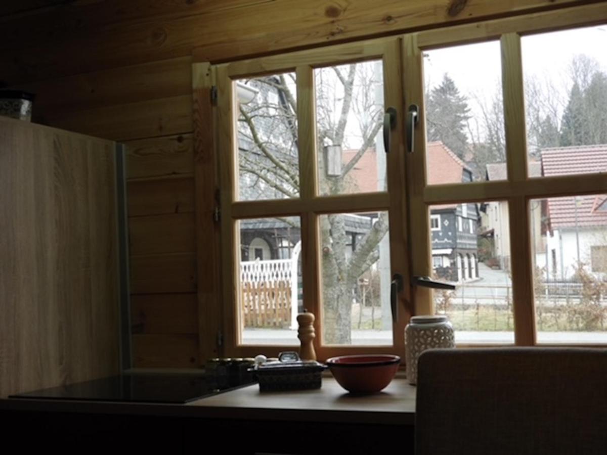 Adler Sommerhaus Oderwitz Экстерьер фото